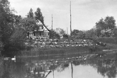 Foto mit Weiher