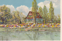 Postkarte Weyerhüsli IV