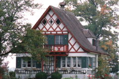 Farbfoto vom Weiher her