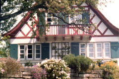 Farbfoto mit Schwänen