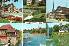 Amriswil I