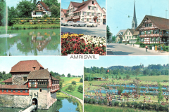 Amriswil III