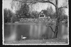 Staatsarchiv Thurgau Slg. 2.8.8/5, 53